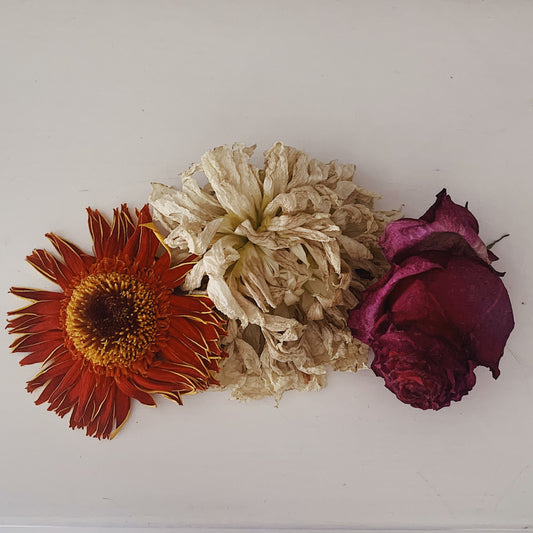 Dead Flowers - MP3 Download